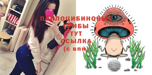 прущие грибы Киселёвск