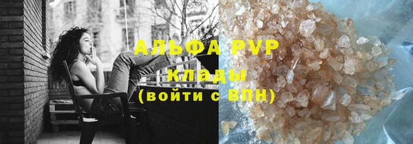 прущие грибы Киселёвск