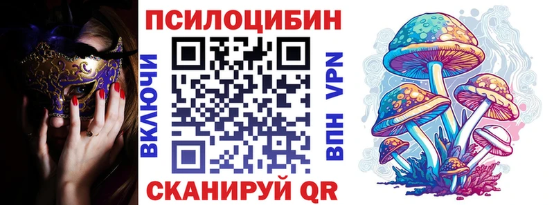 Псилоцибиновые грибы Psilocybe  Маркс 